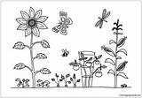 Pages Garden Coloring Vegetable Color Gardens Kids Online Adults sketch template