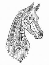 Zentangle Vector Horse Arabian Stylized Illustration Freehand sketch template