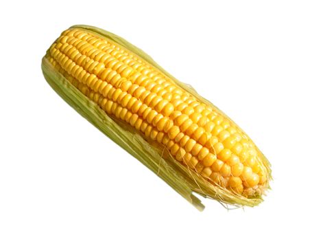 amazing alternative  stupid boring yellow corn