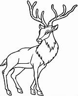 Coloring Pages Caribou Deer Antelope Animals Printable Forest Drawing Colouring Preschool Kindergarten Coloringbay Clipartmag Animal Clipart Horn Antlers Baby sketch template
