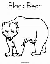 Coloring Bear American Popular sketch template