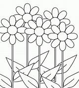 Coloring Pages Flower Daisy Sunflowers Vase Tropical Petals Daisies Popular Coloringhome sketch template