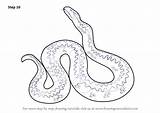 Adder Draw Drawing Step Tutorials Drawingtutorials101 Reptiles sketch template