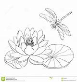 Dragonfly Nénuphar Lilies sketch template