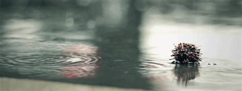 Day Lonely Rain Romantic Sad Animated  2444785 By