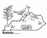 Kentucky Coloring Flag State Popular sketch template