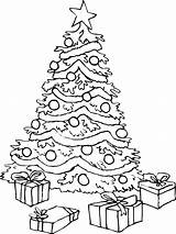 Coloring Christmas Tree Printable Pages Popular sketch template