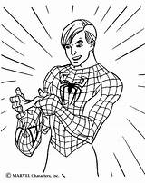 Coloring Spider Spiderman Pages Drawing Kids Library Man sketch template