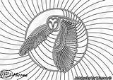 Aboriginal Indigenous Dreamtime Owl Genderdesk Gender sketch template