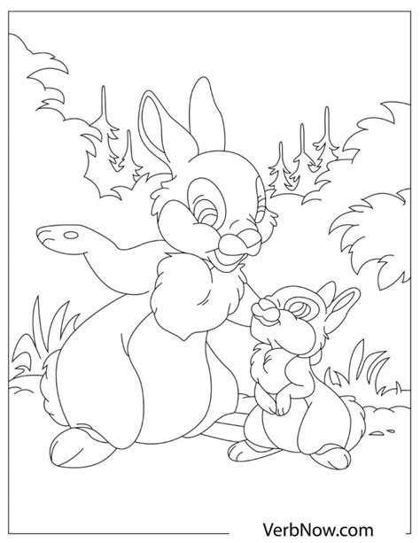 bunny coloring pages   printable