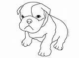 Perros Dibujos Coloring Pitbull Pages Template Drawings Colorear Para Cute Dog sketch template