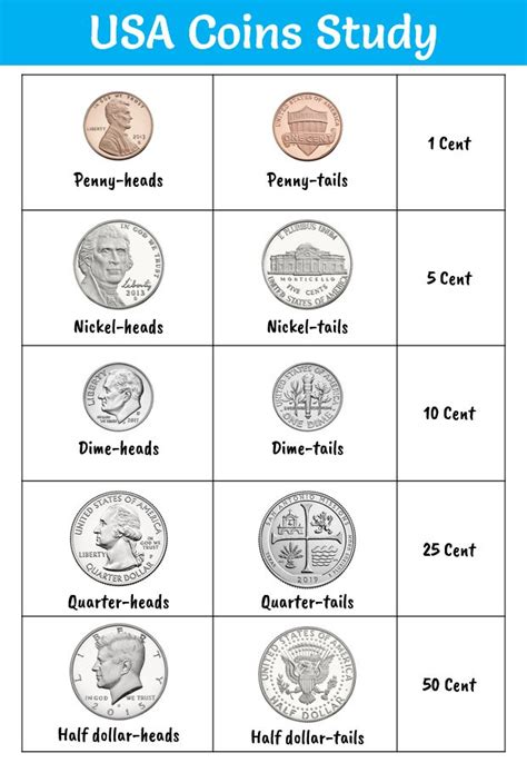 printable coin  chart