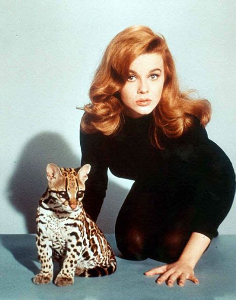 sex kitten ann margret beckons you to ‘leave your old