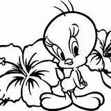 Coloring Tweety Bird Pages Print Girls Baby Kids Looney Tunes Cute Colouring Sheets Flower Printable Sylvester Easter Getdrawings Clipartmag Cartoons sketch template
