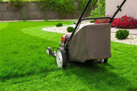 walk  lawn mower reviews gas cordless electric models