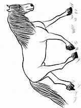 Paard Leukekleurplaten Paarden sketch template