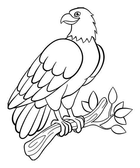 print coloring page bird  file include svg png eps dxf