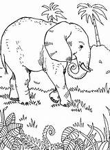 Colorir Desenhos Jungle Selva Animaux Elefante Olifant Paisajes Kleurplaat Sauvages Impressionnant Photographie Topkleurplaat Selvagens sketch template
