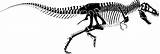 Rex Skeleton Dinosaur Tyrannosaurus Drawing Outline Trex Tattoo Fossil Silhouette Drawings Dinosaurs Feathered Tattoos Paintingvalley Jurassic Park Search Google References sketch template