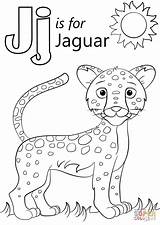 Jaguar Coloring Letter Pages Printable Clipart Color Preschool Sheets Kids Crafts Supercoloring Alphabet Animals Print Jungle Animal Words Coloringpagesfortoddlers Jacksonville sketch template