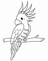 Cockatoo Coloring Pages Branch Printable Popular sketch template