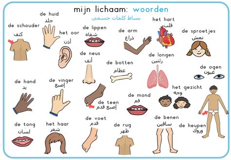 dutch language german language learning language study  language learn dutch learn