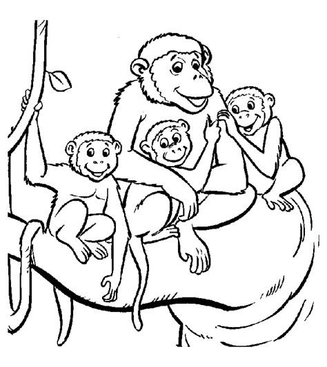 monkey coloring pages  kids monkeys kids coloring pages