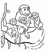 Coloring Monkeys Monkey Pages Kids Simple Cute Print Baby Family Mother Children Printable Animals Toddler sketch template