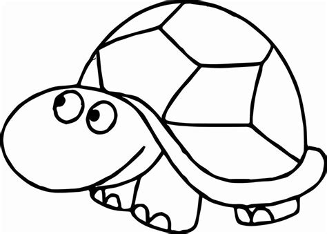 ninja turtles face coloring pages  kids front tortoise turtle