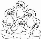 Penguins 101coloring sketch template