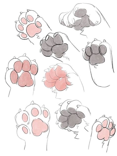 cat paw drawing reference