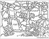 Coloring Forest Pages Habitat Enchanted Rainforest Kids Print Drawing Getcolorings Printable Trees Book Getdrawings Rain sketch template
