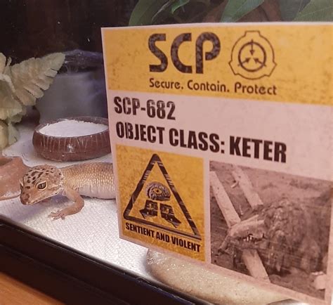 scp    successfully contained raww