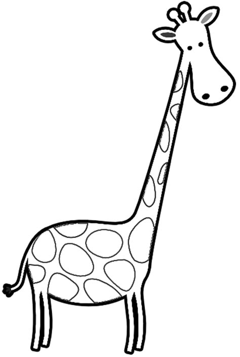 pin  giraffes