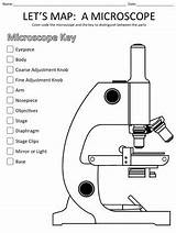 Microscope Map Let Lets Coloring Science Worksheets Teacherspayteachers Activity Activities Preview Places Biology sketch template