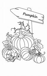 Coloring Pumpkin Pages Pumpkins Patch Fall Halloween Printable Kids Sign Drawing Color Garden Adult Decorate Sheets Drawings Print Autumn Adults sketch template