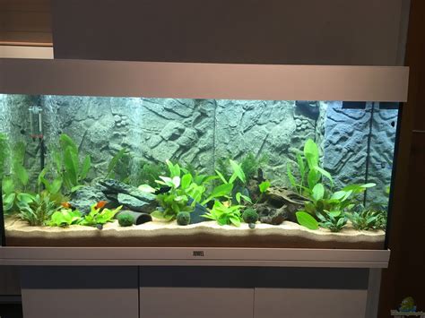 aquarium von lanzelot  rio juwel