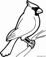 Cardinal Coloring Pages Easy sketch template