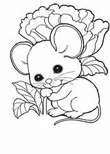 Souris Coloriage Rat Imprimer Dessin Trop Mignonne Rod Colorier Getcolorings Adults Bulkcolor sketch template