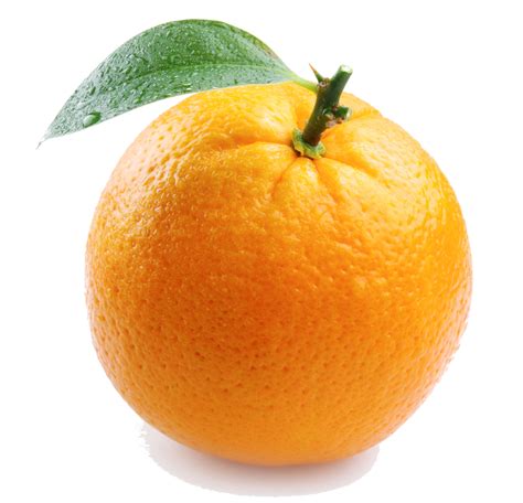 oranges oranges photo  fanpop