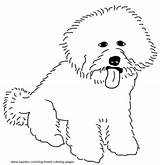 Bichon Coloring Frise Dog Pages Breed Drawing Line Getdrawings Yorkie sketch template