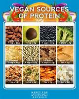 Pictures of Best Sources Of Protein For Weight Loss