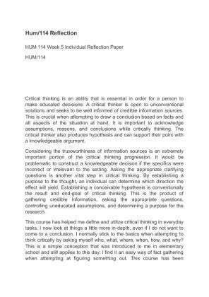 reflection paper interview reflection paper  essay