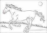 Horse Mustang Coloring Pages Rearing Horses Getcolorings Printable Color sketch template