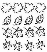 Coloring Trees Leaves sketch template
