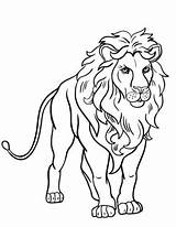 Leeuw Leoni Lions Stampare Leao Kleurplaten Angry Topkleurplaat Narnia Adulti Paperblog Atuttodonna sketch template