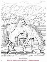 Colouring Hoofprints Pferde sketch template