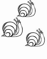 Snails Slak sketch template