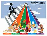 Identify The Components Of A Balanced Diet