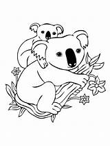 Koala Coloring Pages Baby Kids Mother Printable sketch template